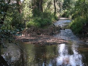 Začiatok TML po prúde